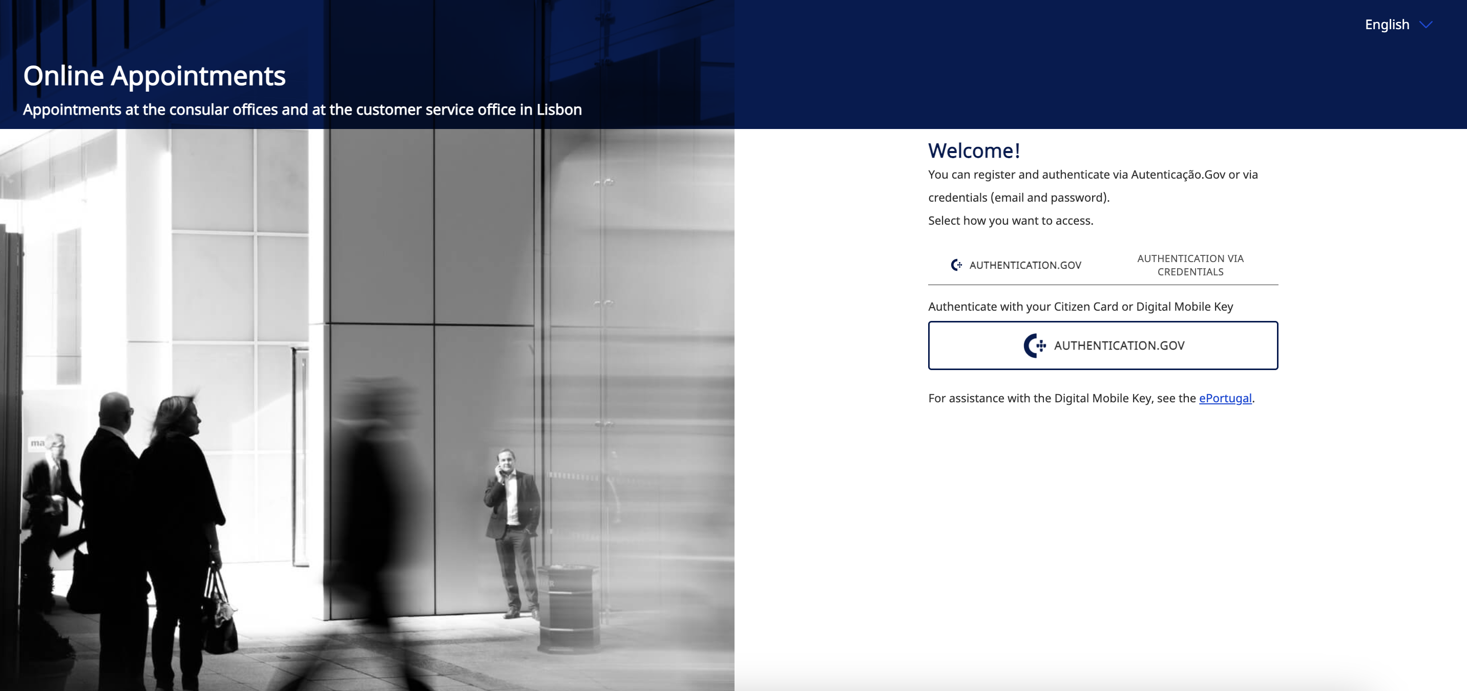 Project url preview